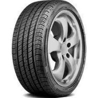 Continental ProContact RX 315/30 R21 105V XL ND0