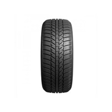 Evergreen EW62 205/60 R16 96H XL