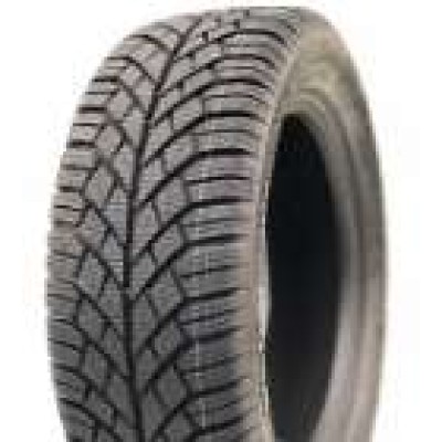 Зимние легковые шины TIPTYRE (наварка) Winter EcoComfort 195/65 R15 91T