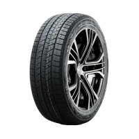 Doublestar WINTERKING DW16 225/45 R19 96T XL